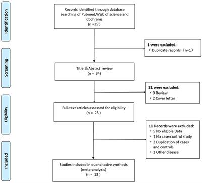 Association of Interleukin-6–174G/C Polymorphism With Ischemic Stroke: An Updated Meta-Analysis